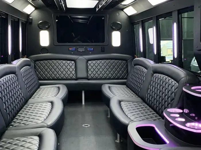 20 passenger party bus inside